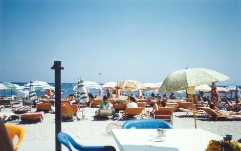 hojaa13.jpg (22627 bytes)